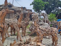 Punya Kerajinan Akar Jati Kualitas Ekspor, Desa Ngubalan di Ngawi Terpilih Jadi Desa Devisa