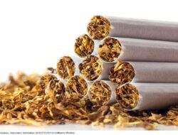 GMNI FIB Unej Tolak Kenaikan Cukai Hasil Tembakau