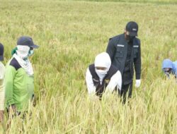 Khofifah Apresiasi Surplus Beras Kabupaten Ngawi Tertinggi se-Indonesia