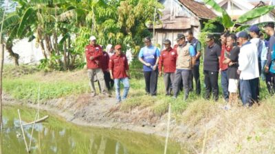 Gerakan Prahu Sikat Enceng Gondok Lamongan, Normalisasi Tampungan Volume Sungai