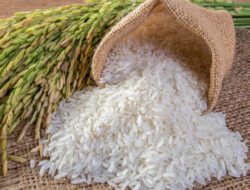 BULOG dan Lembaga Negara Terkait Diminta Stabilkan Harga Beras