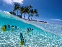 Cerita Turis Finlandia Yang Jadi Pengunjung Setia Keindahan Kawasan Wisata Bunaken