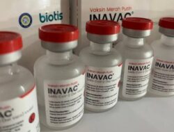 1,2 Juta Dosis Vaksin Inavac Siap Disuntikkan dan Digunakan oleh Masyarakat Indonesia