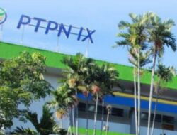 Lowongan Kerja di PT Perkebunan Nusantara IX