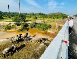 Pembangunan Infrastruktur Harus Ramah Lingkungan