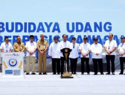Jokowi Resmikan Tambak Budidaya Udang Berbasis Kawasan di Kebumen