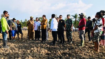 Jokowi Tinjau Food Estate di Keerom Papua