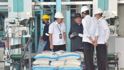 Saat Panen Raya Seperti Ini, Jokowi Minta Bulog Serap Gabah Petani Sebanyaknya