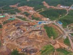 Jokowi Pimpin Rapat Progres Pembangunan Hunian ASN di IKN