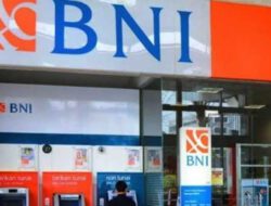 Bank BNI Sumatera Utara Buka Perekrutan Program BINA BNI (Magang Siswa dan Mahasiswa), Berminat Silahkan Daftar