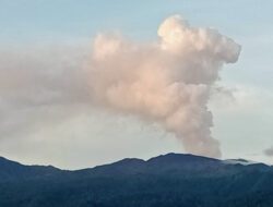 Gunung Dukono di Halmahera Utara Alami Erupsi, Semburkan Kolom Abu Warna Putih Tebal