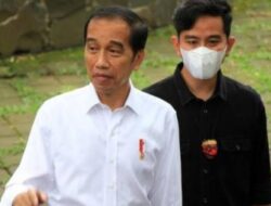 Pengamat Politik Ingatkan Jokowi Agar Jangan Lupa Sejarah
