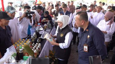 Khofifah Tinjau Program Pertanian Modern di Ngawi