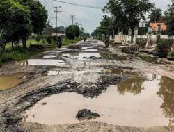Partai Demokrat: Jalan di Lampung Rusak Parah Itu Salahnya Jokowi