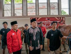 Potong 14 Sapi di Idul Adha, PDIP Surabaya: Momen Perkuat Gerakan ke Akar Rumput