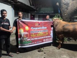 Sonny T Danaparamita Salurkan 10 Ekor Sapi, Puluhan Ekor Kambing dan Ribuan Paket Daging Bergizi di Tiga Kabupaten