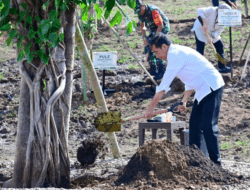 Ajak Tindakan Nyata Hadapi Perubahan Iklim, Jokowi Tanam Pohon Bersama Masyarakat di Manggarai Barat