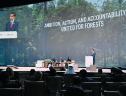 Langkah Indonesia Capai Net Carbon Sink Sektor Hutan dan Lahan
