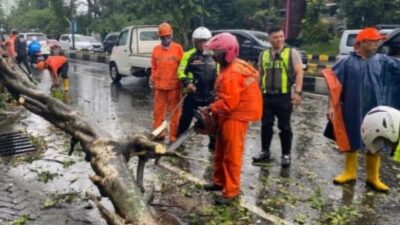 Cuaca Ekstrem di Jawa Timur dan Hembusan Angin Kencang se- Malang Raya, Hindari Bepergian yang Tidak Penting