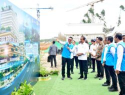 Jokowi Minta Optimalkan Pemanfaatan Energi Hijau di IKN