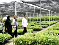 Pusat Persemaian Wujud Nyata Komitmen Indonesia Terhadap Perubahan Iklim