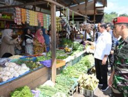 Jokowi Cek Harga di Pasar Temenggoeng Barito Timur Kalteng