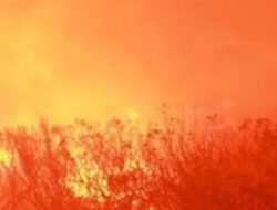 Kebakaran Landa Kawasan Hutan dan Perbukitan di Tepi Danau Toba