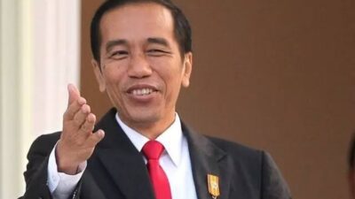 Soal Pilkada, Jokowi Pastikan Pemerintah Ikuti Putusan MK