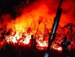 Kebakaran 10 Hektar Lahan Mineral di Desa Tongging Kabupaten Karo Sumatera Utara