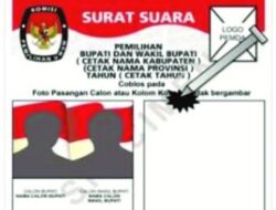 Perludem Minta DPR RI Tambah Aturan Dalam UU Pilkada Calon Tunggal Kalah Tak Ikut Pilkada Ulang
