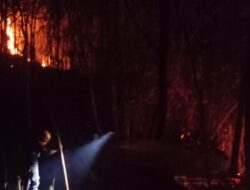 Gunung Bancak Terbakar, Damkar Tak Sanggup Tembus Sasaran