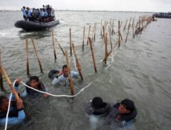 Polda Metro Jaya Belum Temukan Indikasi Tindak Pidana Dalam Kasus Pagar Laut Tangerang