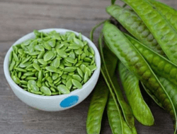 Manfaat Petai Cina atau Lamtoro Untuk Kesehatan