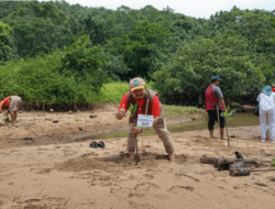 Ketua GANN Malang Raya Hadiri Undangan Tanam Pohon Mangrof di Malang Selatan