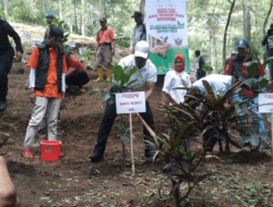 Perpaduan Budaya Seni dan Dialog Publik, Kegiatan Aksi Tanam 1000 Bibit Pohon Yang dihadiri Wabup dan Forkompinda Kabupaten Malang