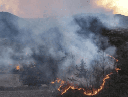 16 Kebakaran Hutan Melanda Korea Selatan