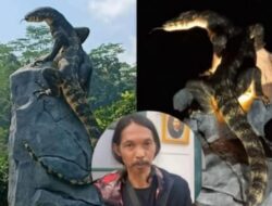 Viral Patung Biawak Karya Seniman Rejo Arianto di Wonosobo Mirip Dengan Aslinya