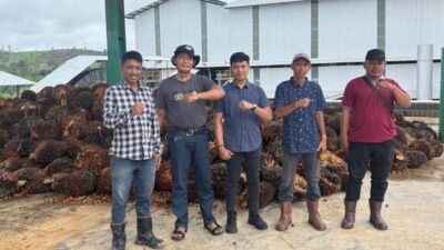 DPD APKASINDO Sijunjung Advokasi dan Mitigasi Iklim Hilirisasi Pabrik Kelapa Sawit PT. SKA Dengan Petani