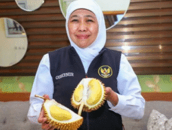 KPK Harap Panggilan Untuk Pemeriksaan Bisa Dipenuhi Oleh Khofifah