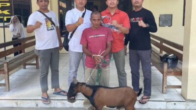 Curi Kambing Warga Tanjung Kaliang, Ditangkap Unit Reskrim Polsek Kamang Baru Polres Sijunjung