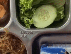 Dari Intervensi Gizi ke Ekonomi Kuasa: Membaca Narasi KADIN