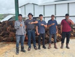 DPD APAKSINDO Sijunjung Dukung Gubernur Sumbar Cabut Ijin Operasional Pabrik Sawit Nakal