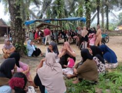 Gagal Mediasi, Masyarakat Tutup Operasional Pabrik Sawit PT SKA Timpeh 4, Buntut Jebolnya Kolam Limbah Yang Cemari Sungai