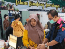 Kejaksaan Tinggi Jatim Geledah Kebun Binatang Surabaya, Dugaan Korupsi Apa Yang Diusut?
