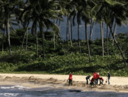 Pariwisata Thailand Khawatir Karena Tumpahan Minyak Kapal Kargo Yang Terbalik Serbu Pantai