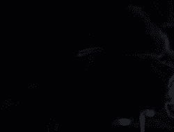 Republik di Pasar Gelap