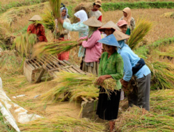 RUU Komoditas Strategis Harus Berpihak Pada Petani
