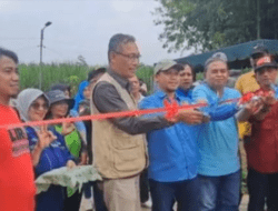 Apresiasi Walikota Malang Atas Sinergitas Forum Ma-Ju,Dinas Lingkungan Hidup dan LPMK dalam Aksi Tanam Kebaikan Untuk Bumi