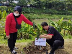 65 Tahun Perum Perhutani: Sonny T. Danaparamita Tekankan Transformasi BUMN Kehutanan yang Berbasis Kerakyatan