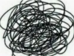 Habermas di Negeri Buzzer: Demokrasi Tanpa Percakapan